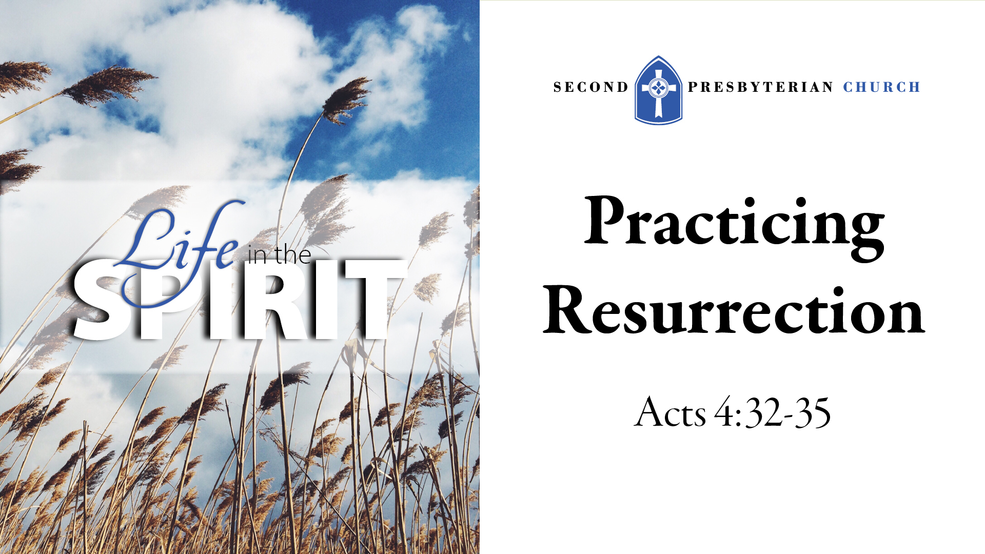 Life in the Spirit-Practicing Resurrection